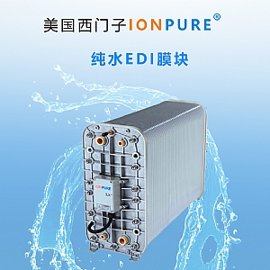 美國西門子IONPURE純水EDI模塊