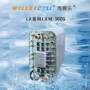WELLEXCELL唯賽樂LXM30ZG EDI膜塊 EDI模塊